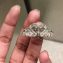 macabrechagrin avatar