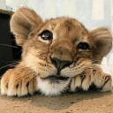 macar-privim-acelasi-cer avatar