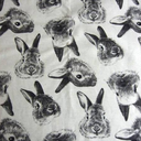 macaron-rabbit avatar