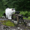 macaroniwizard avatar