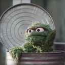 maccaroniandbees avatar