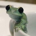 macfroglets avatar