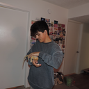 machiavelli-the-prince avatar