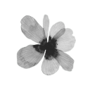 machinedheart avatar