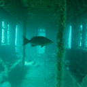 machinedivinity avatar