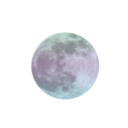 machlnegunkelly avatar