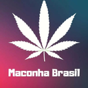 maconhabrasil avatar