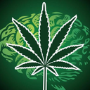 maconhanaveia avatar