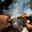 maconheeirosdeplantao-blog avatar