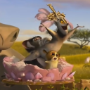 madagascar-anniversaries avatar