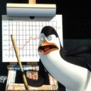 madagascarsurveys avatar