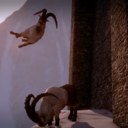 madame-snappy-snips avatar