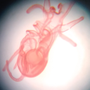 madamearachne avatar