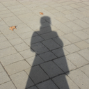 madamechauchat avatar