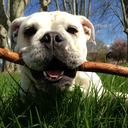 madameginette avatar