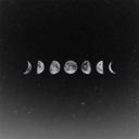 madameguevara avatar