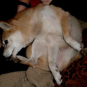 madamesnappysnipsdammit avatar