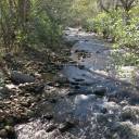 madamespaceskunk avatar