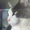 madamesurrealia avatar