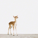 maddieboo3212 avatar