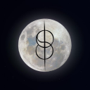 maddieshifts444 avatar