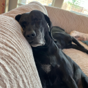 maddoghathaway avatar