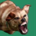 maddogliberal avatar