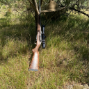 maddogonthetumbz avatar