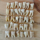 made-of-spite-blog avatar