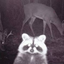 madebyysociety avatar