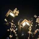 madeleineismad avatar