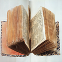 madeleinethien avatar