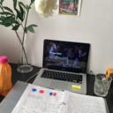 madelenstudies avatar