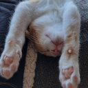 madeline-brewer avatar