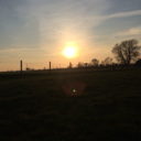 mademehavetothrowthelooking-blog avatar