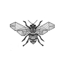 mademoiselle-luz avatar