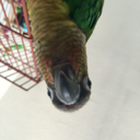 mademoiselle-meg avatar