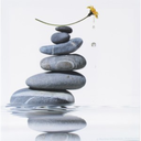 mademoisellearielle avatar