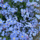 madewithmoonstone avatar