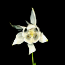 madeyoulisten-blog avatar