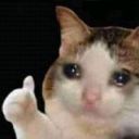 madilynn-muse avatar