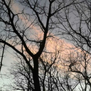 madison-loves-bands avatar