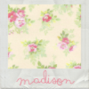 madisonfm avatar