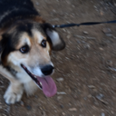 madisongreves avatar