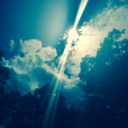 madisonjbradley avatar