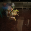 madisonmonroexx avatar