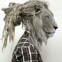 madisonsquaredojo avatar