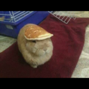 madisonsworld15 avatar