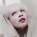 madisonzieg-blog avatar