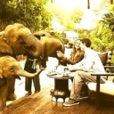 madkinggangrel avatar